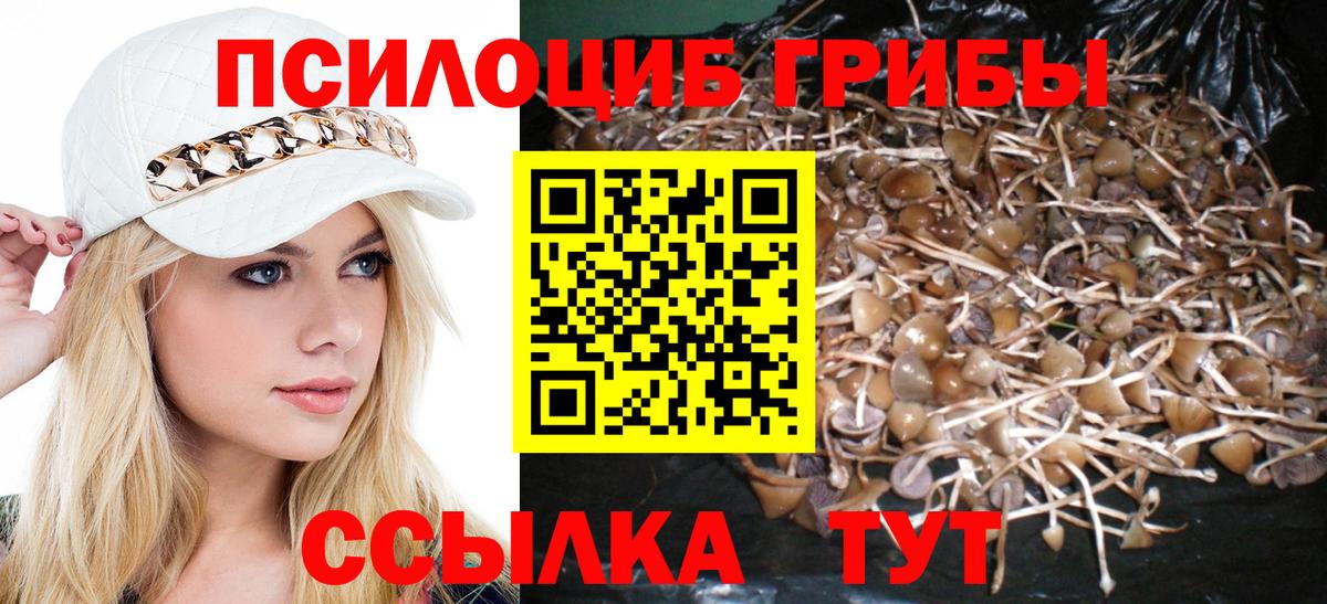 Псилоцибиновые грибы мицелий  Вход с VPN  Димитровград 