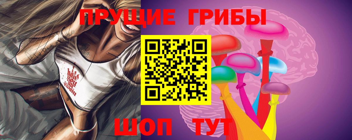 Псилоцибиновые грибы GOLDEN TEACHER Димитровград